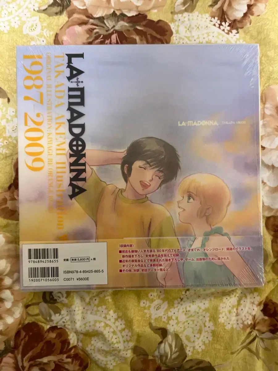 la madonna