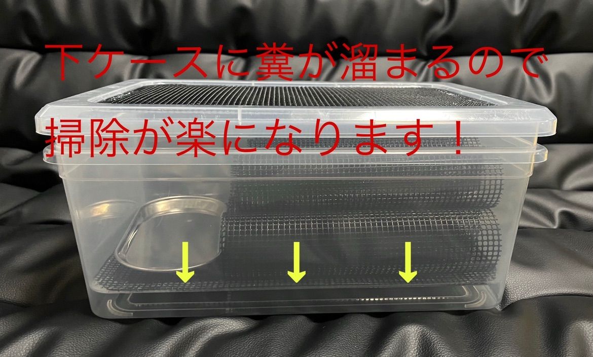 爬虫類、両生類 デュビア、コオロギ、レッドローチ 飼育ケージ