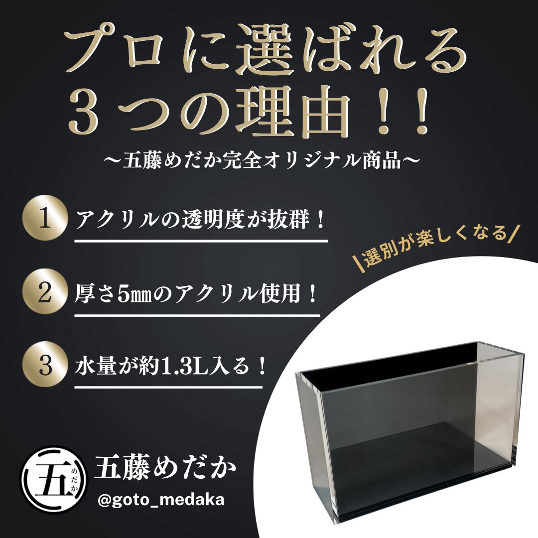 五藤めだか】選別特化AB品(黒) メダカ用 ケース 撮影 横見 - メルカリ