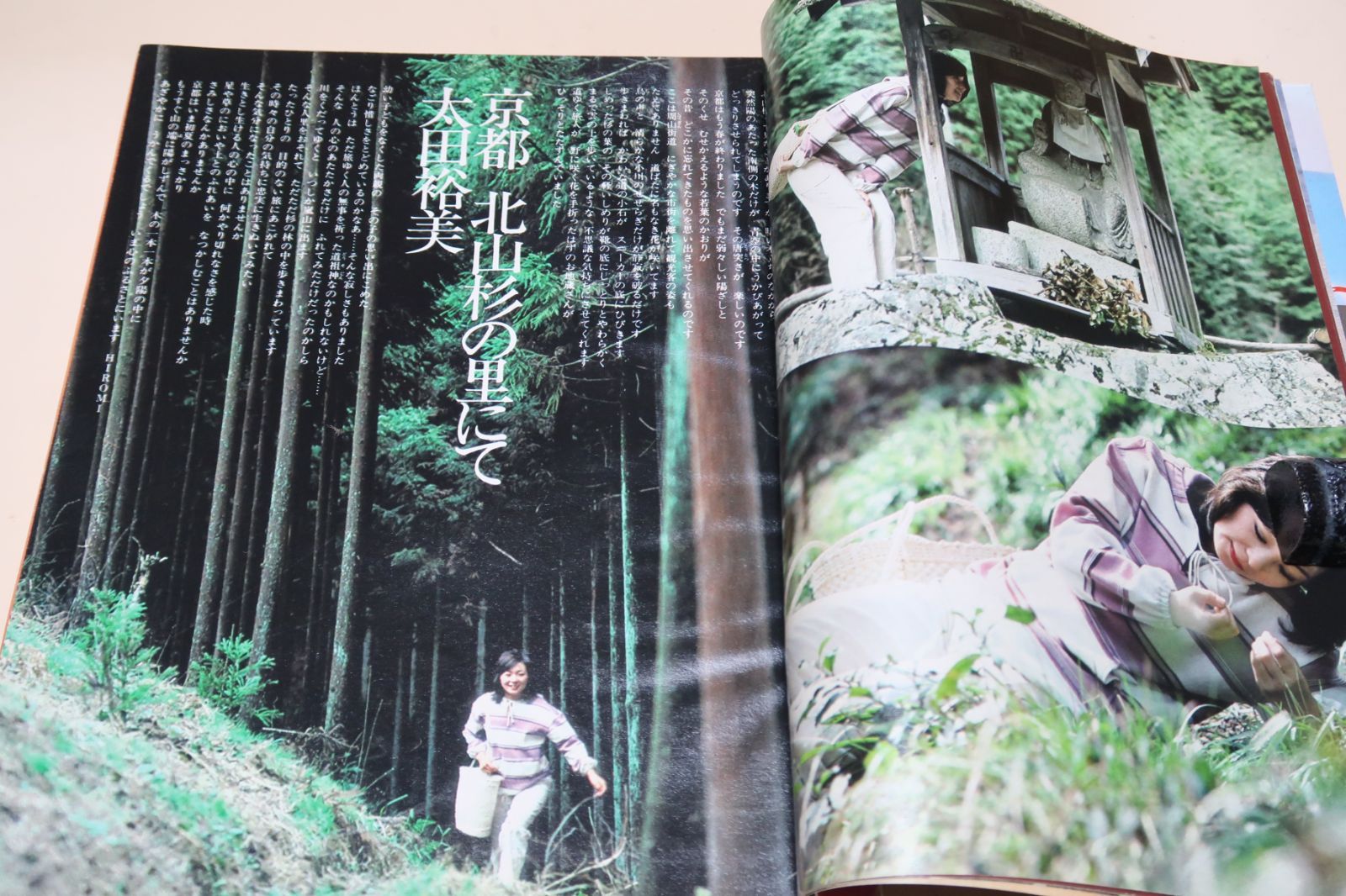 【絶版　希少本】若かったらこんな商売をしてみないか　桜田慧　モスバーガー 絶版 希少本】若かったらこんな商売をしてみないか 桜田慧