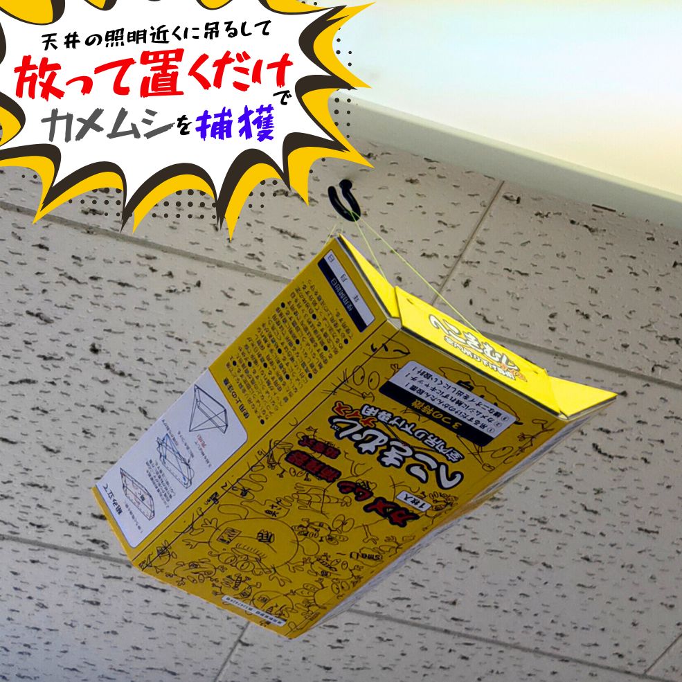 10個