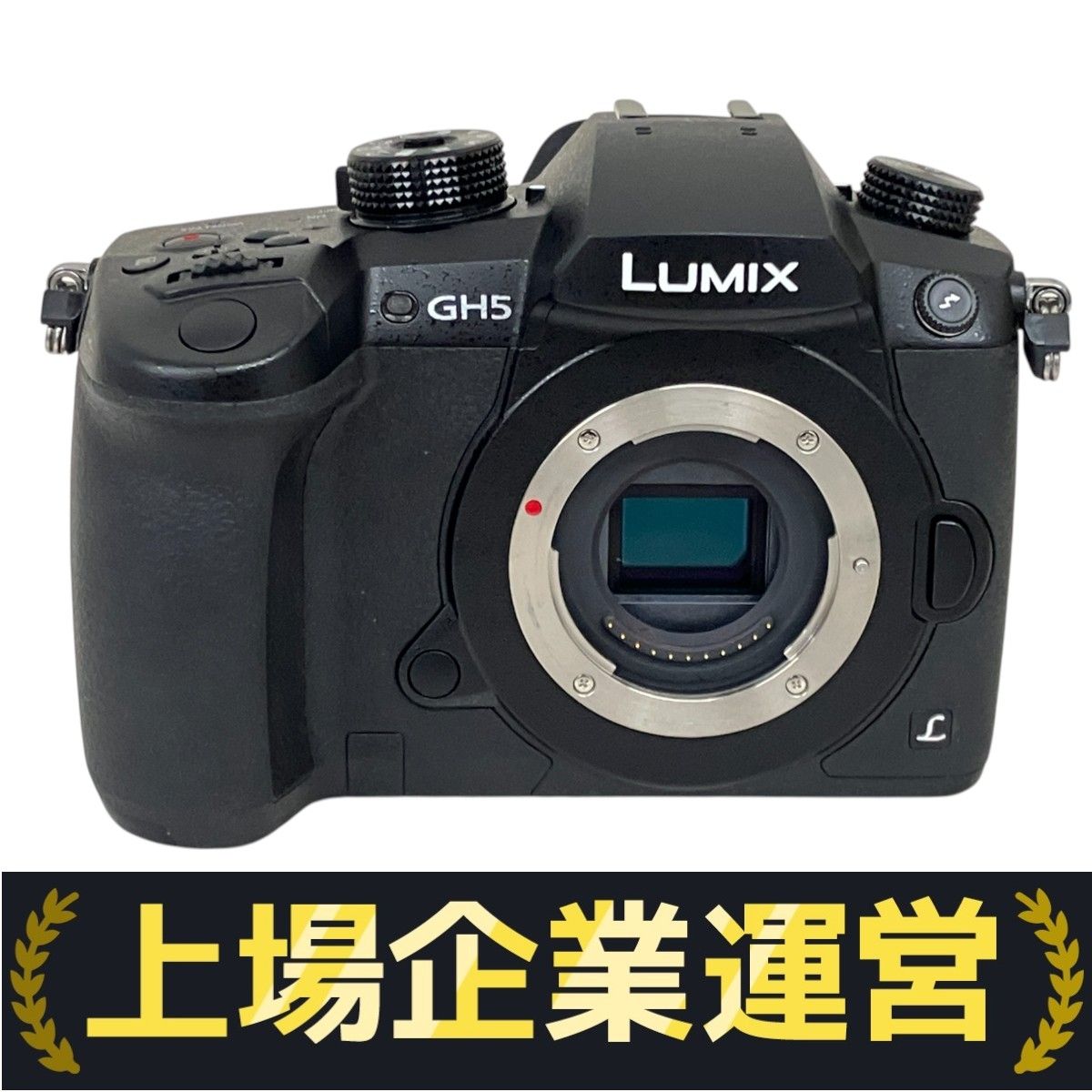 ジャンク】Lumix GH5