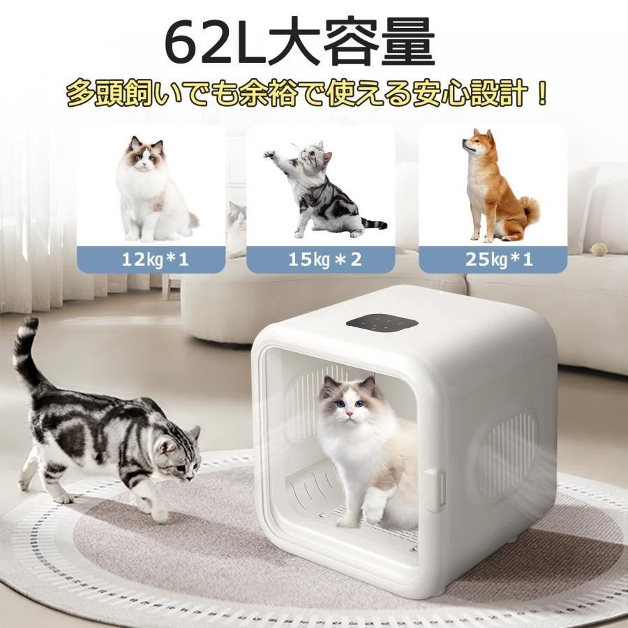 自動