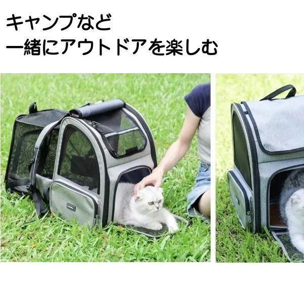 犬