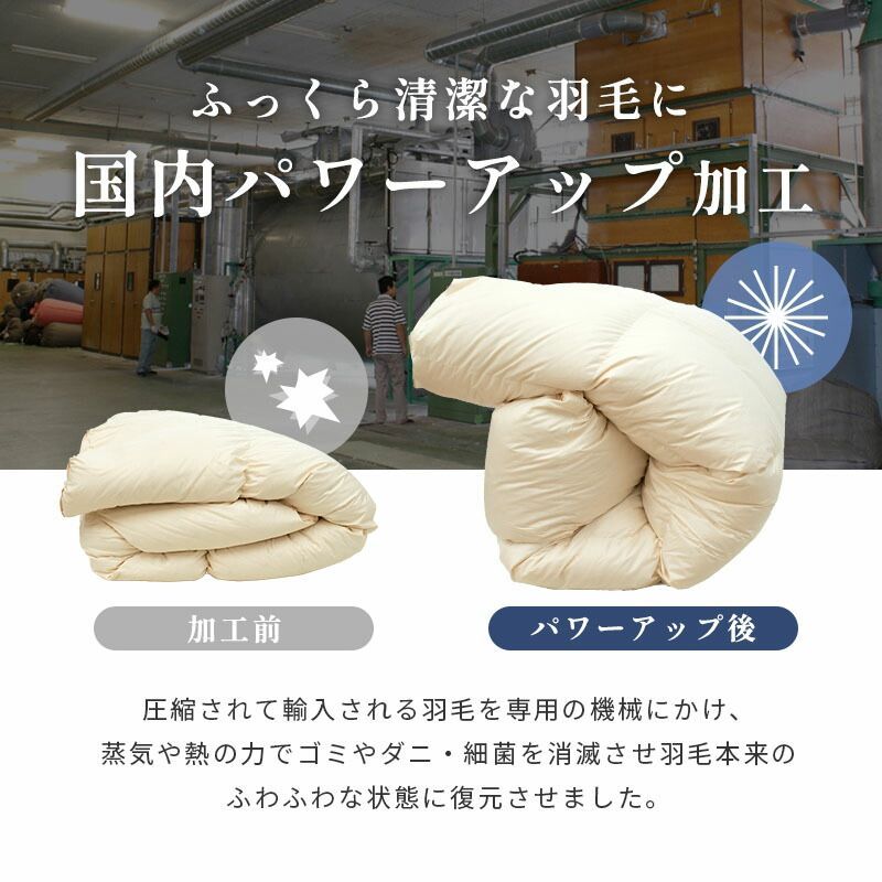 シングル
