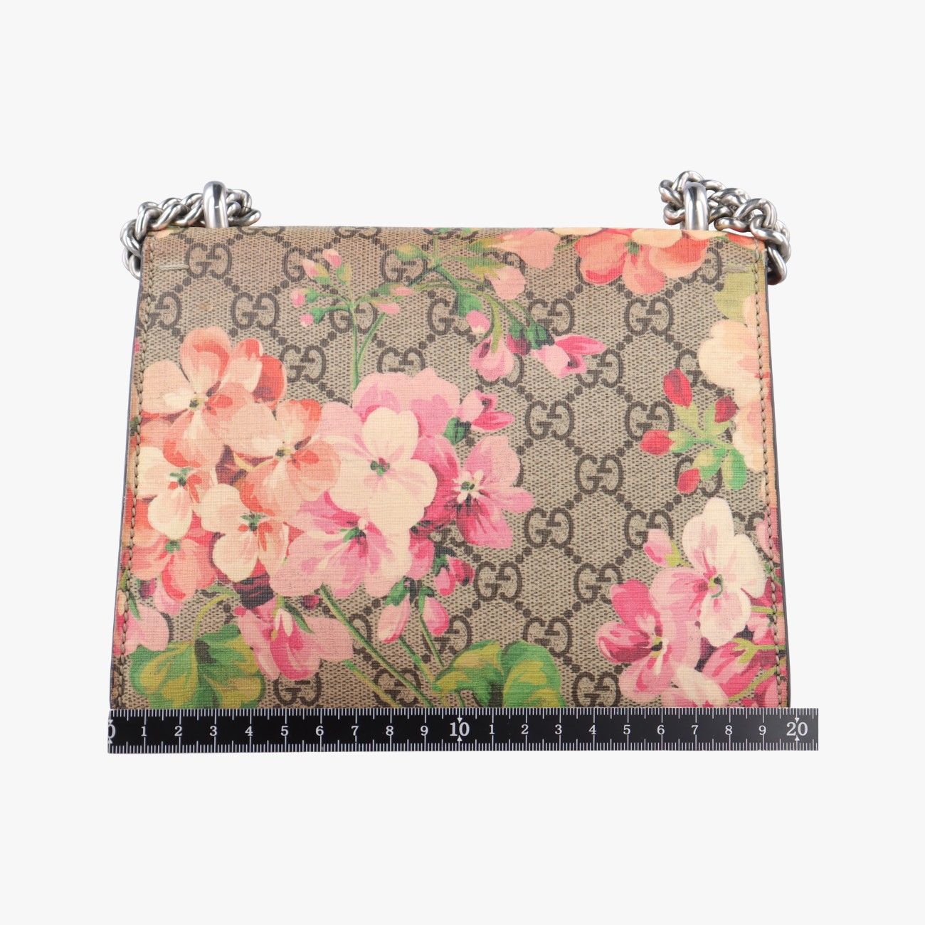 グッチGucciディオニュソスベージュ×マルチ PVCコーティングキャンバス421970B024706658