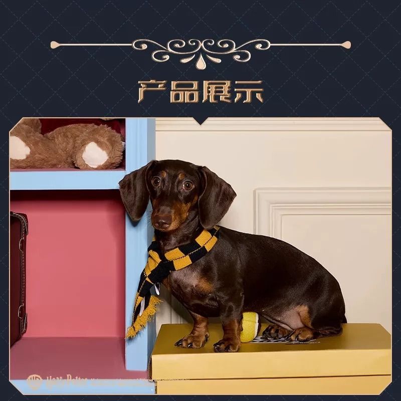 4つ学院 グリフィンドール