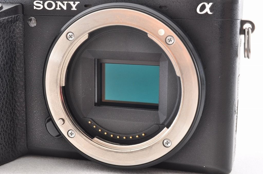 Sony α6500
