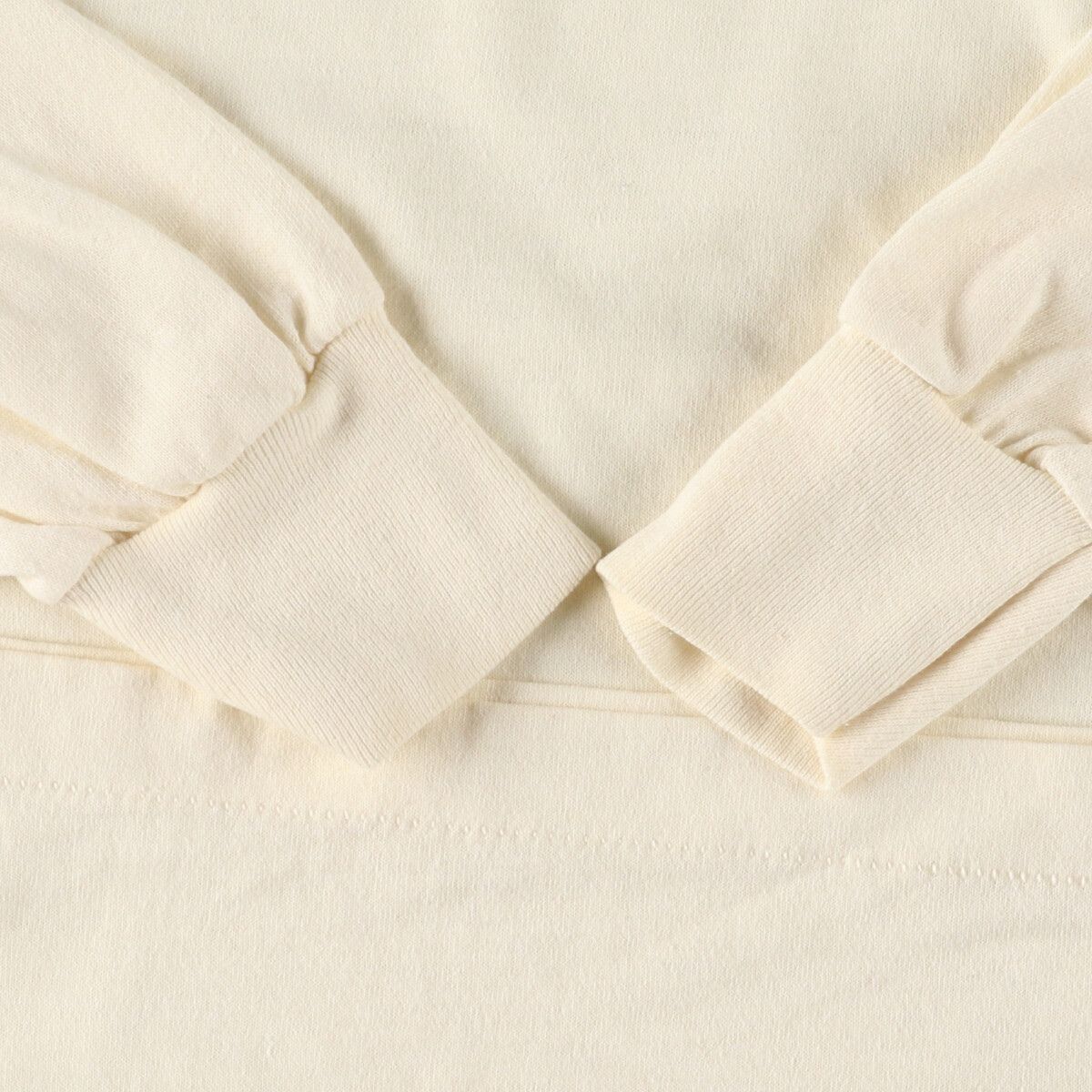 白樺2メートル以上　成木　小苗5本付 白樺苗木