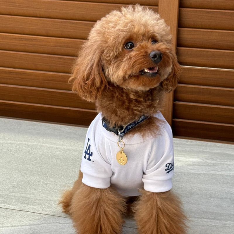 【MLB公式】大谷翔平モデル　Tシャツ　ドジャース　ユニフォーム　応援グッズ　犬服　中型犬　大型犬　野球