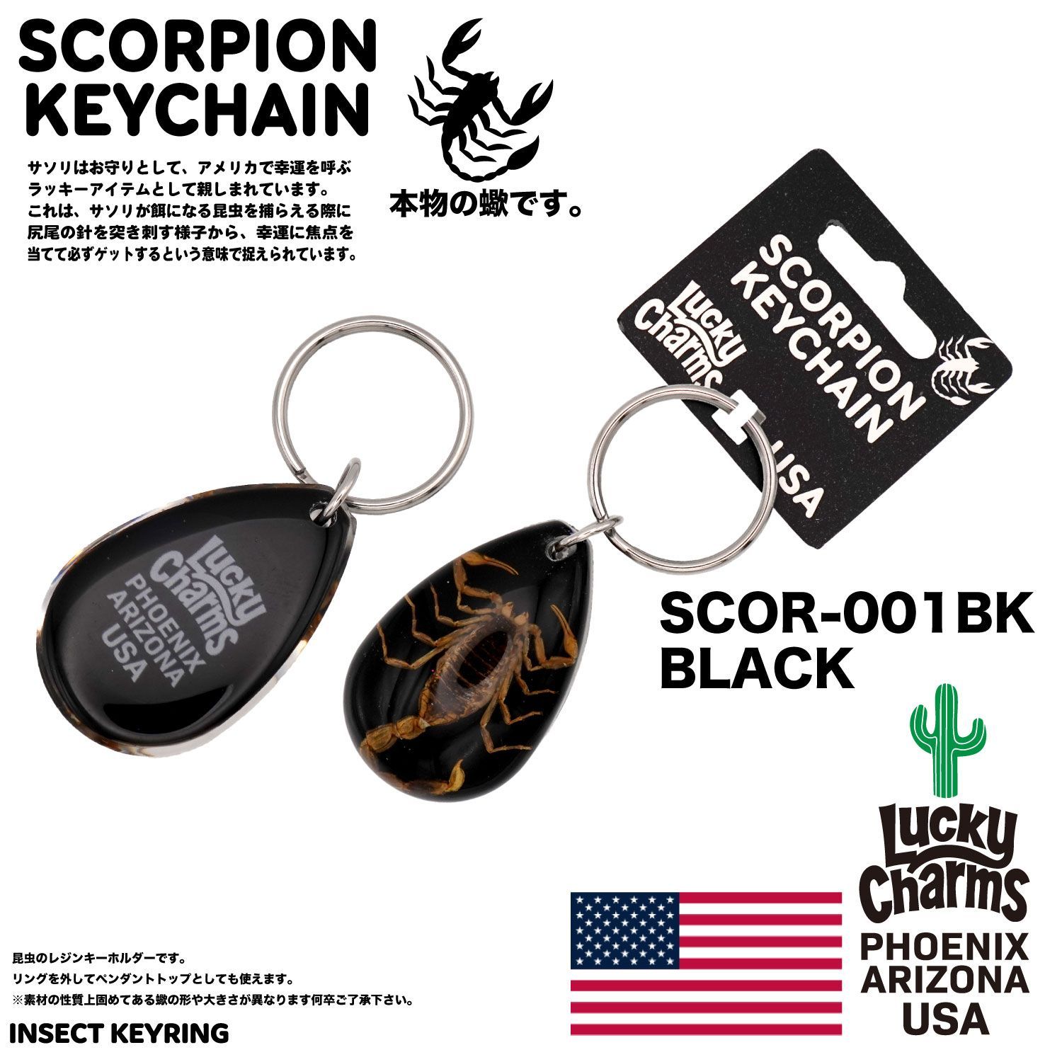 USA ARIZONA SCORPION DROP KEYCHAIN 蠍 サソリ スコーピオン