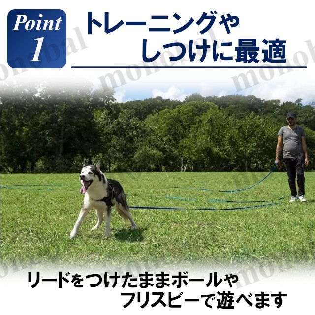 ロングリード 10m 犬用 ドッグラン ペット 散歩 小型犬 中型犬 大型犬 長い リード 絡まない しつけ トレーニング ブラック 黒 ブルー 青 レッド 赤 グリーン 緑 イエローグリーン 黄緑 ピンク