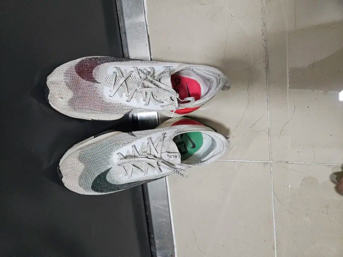 ナイキ アルファフライ 1 キプチョゲエディション