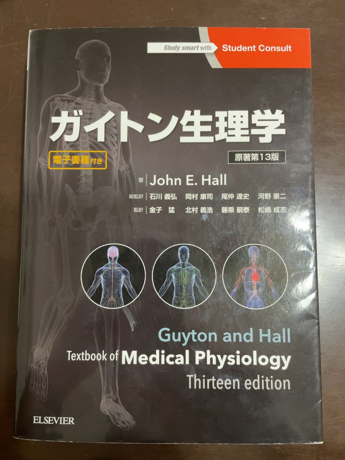 ガイトン生理学 原著第13版 | John E. Hall 石川義弘 岡村康司 尾仲達史 河野憲二