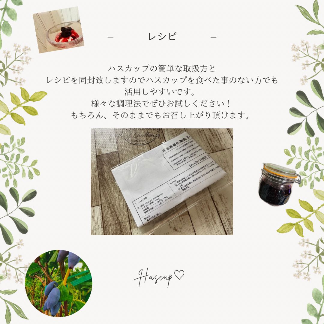 2025年度】北海道 美唄産 冷凍ハスカップ 2kg 【公式通販】