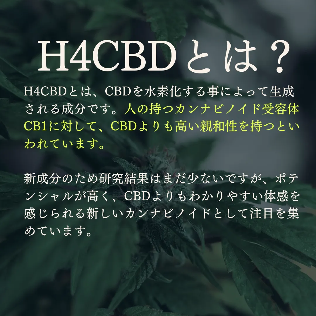 H4CBD配合 高濃度 80% 0.5ml リキッド CBD CBG Jack Herer テルペン | Buyee, сервис закупок  третьим лицом в интернет-магазинах