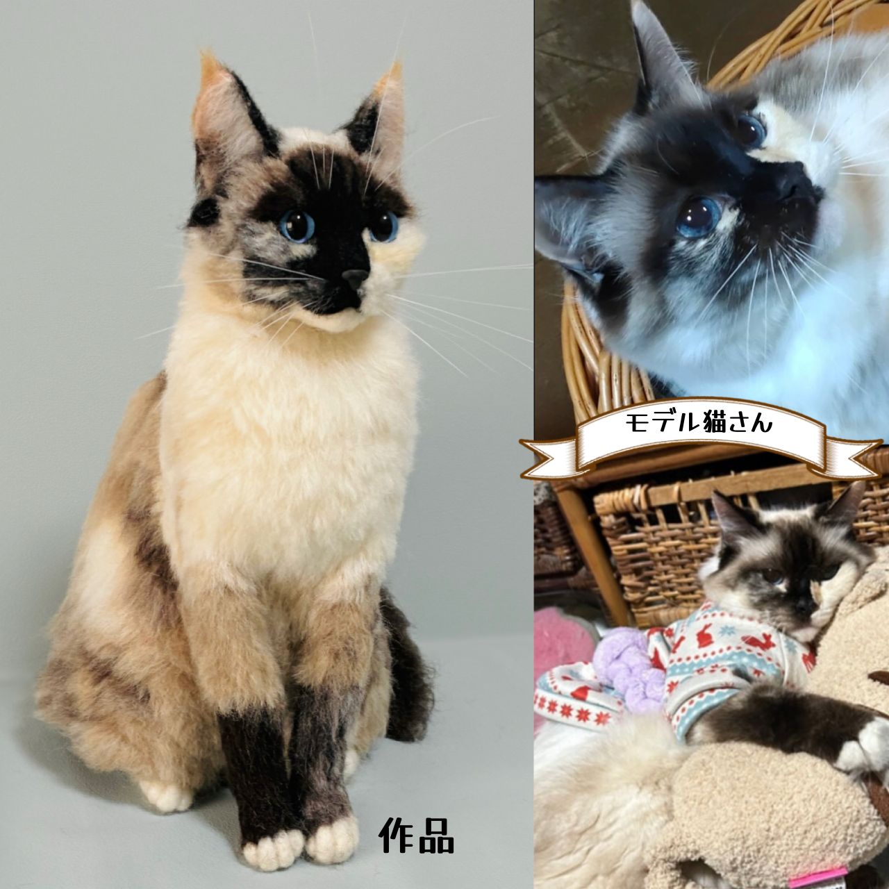 うちのこオーダー うちの子オーダー