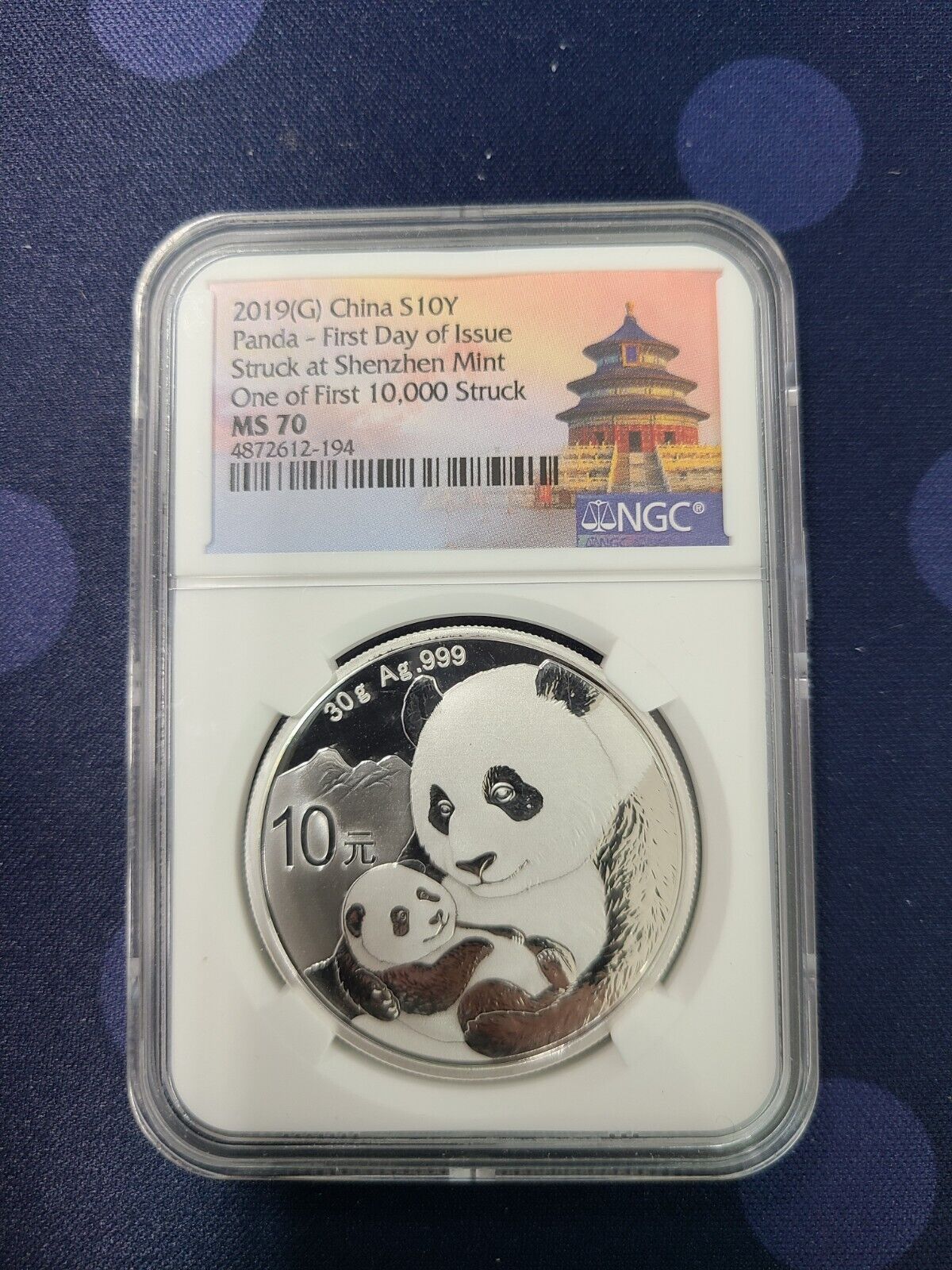 2019 G China 10 Yuan 30g Silver Panda NGC MS70 FDOI of First 10 000 Struck