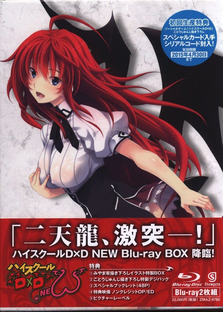 アニメBlu-ray ハイスクールD×D NEW Blu-ray BOX