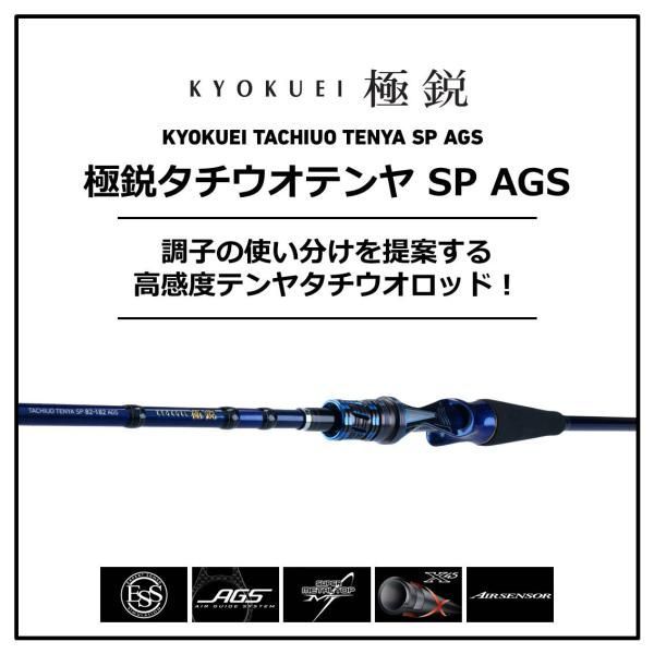 極鋭タチウオテンヤ73-190 AGS ダイワ 極鋭タチウオ テンヤSP 73-190AGS (ロッド・釣竿) 価格