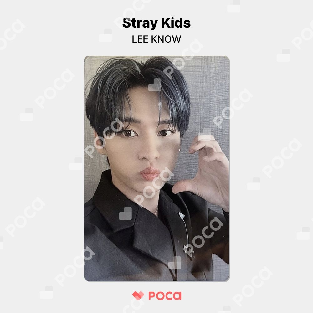 straykids リノ スキズ トレカ 'Stay in STAY' JEJU EXHIBITION