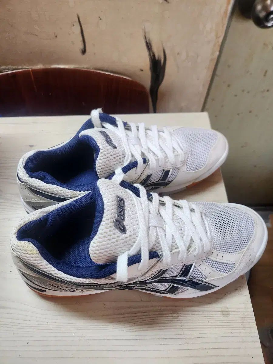 asics アシックス 宝くじ fl5 バレーボール バドミントン スポーツ大学入試 255