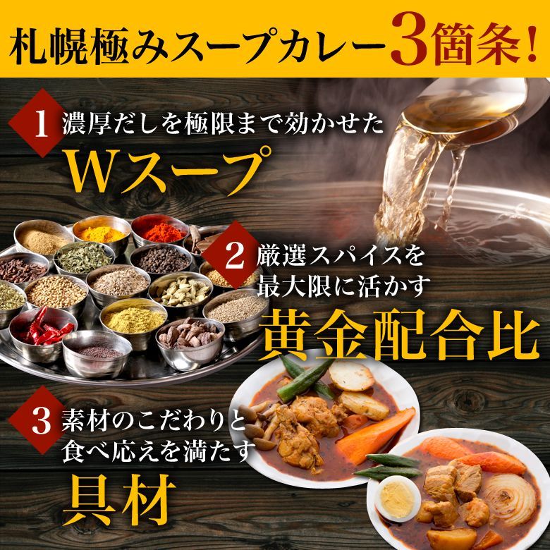 札幌極み スープカレー 選べる2食セット チキン 豚