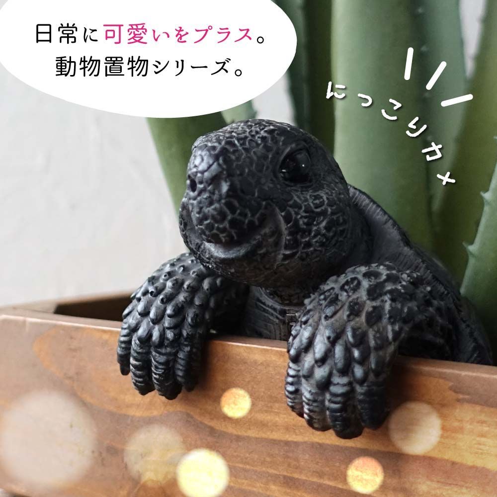 人気，品質保証 ☆ 亀 カメ 剥製 壁掛け 置物 オブジェ 全長 約70cm