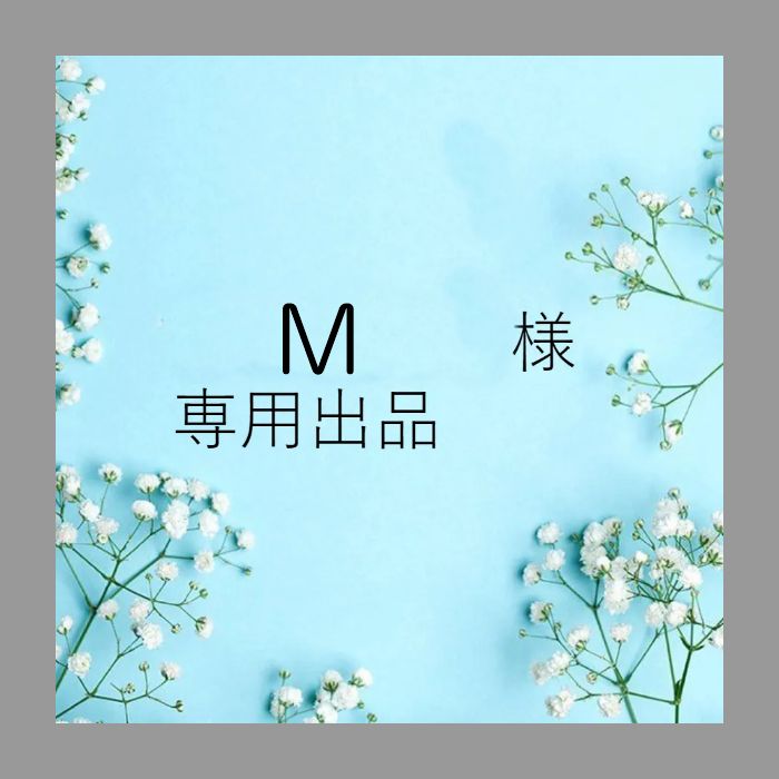 専用出品です。 （専用出品 （専用出品しょう様 （mi様専用出品