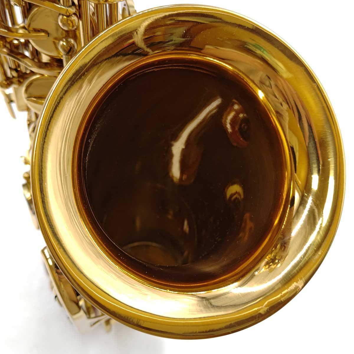 彫刻 ハードケース付き