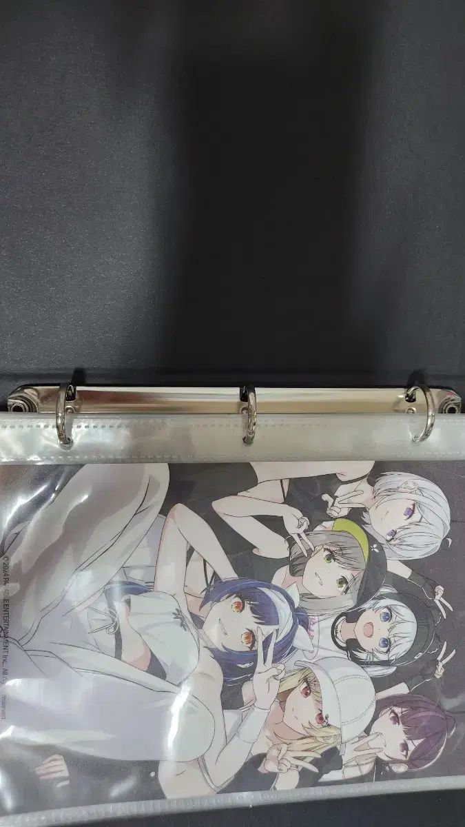 異世界からのアイドル フォトカード トレカ バインダーブック ブックマーク