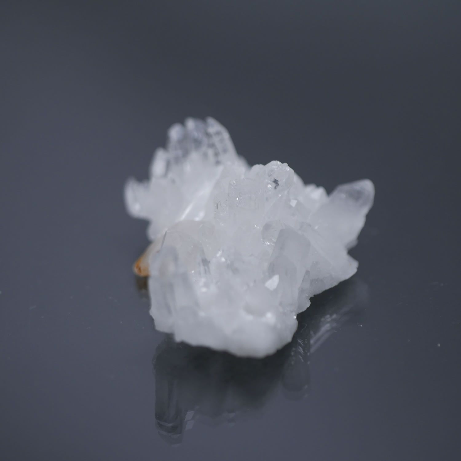 水晶　花　クラスター　1点限定 一点物】菊花水晶クラスター ✨期間限定特別SALE✨ /天然石 浄化