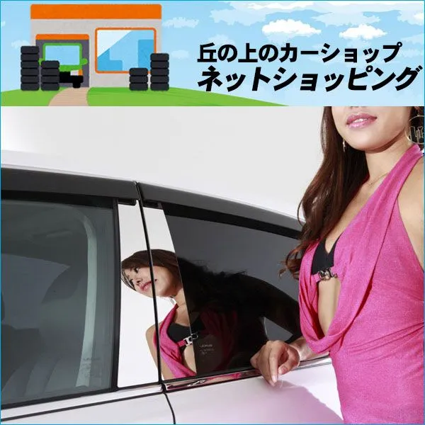 BRIGHTZ シーマ F50 超鏡面ステンレスメッキ GF50 HF50 GNF GF