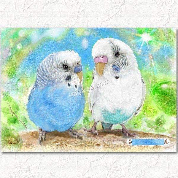 セキセイインコと猫 絵画 セキセイインコと猫 絵画