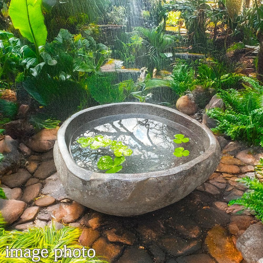 天然自然石・水鉢・蹲・茶庭石・庭石】オブジェ置物箱庭造園坪庭バード