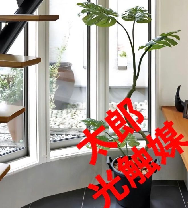 光触媒 光触媒　人工観葉植物　フェイクグリーン　インテリアモンステラ1.7 光の楽園 人工 フェイクグリーン 1.0m【インテリア モンステラ フラワー・ガーデニング