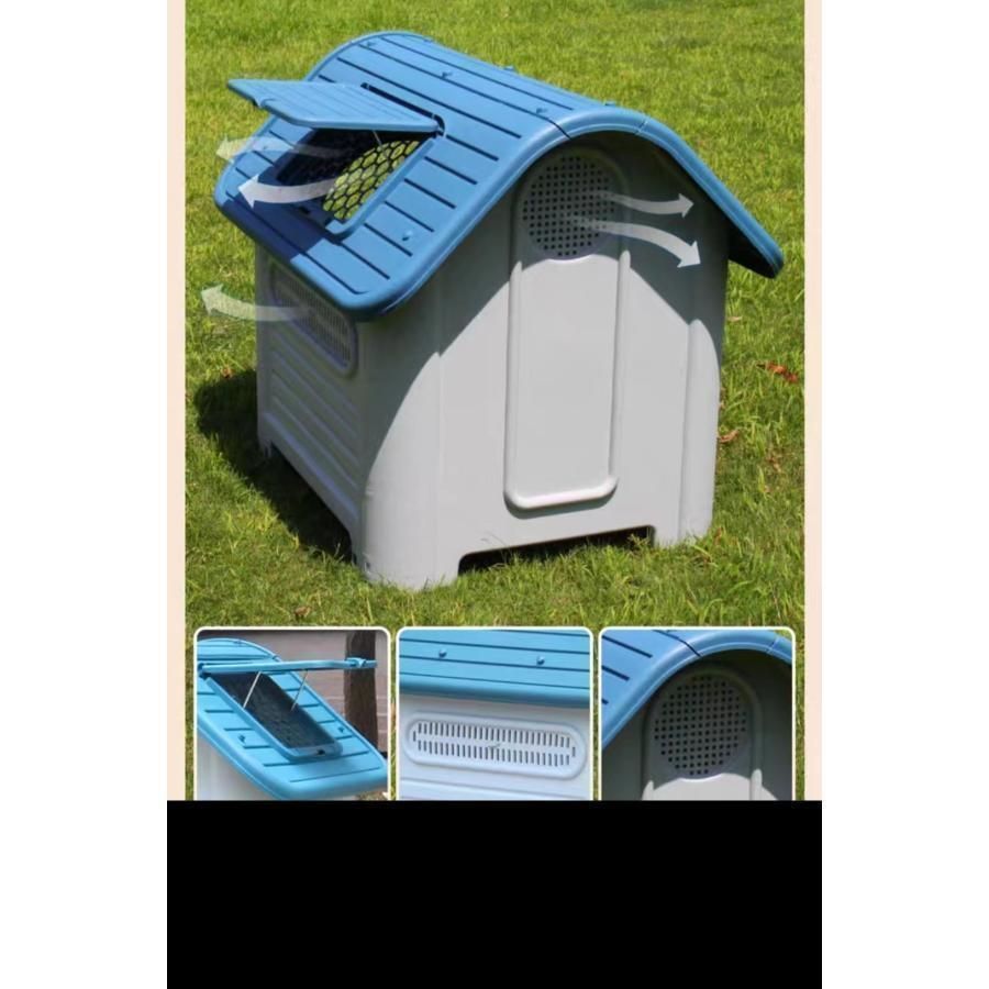 犬舎 屋外
