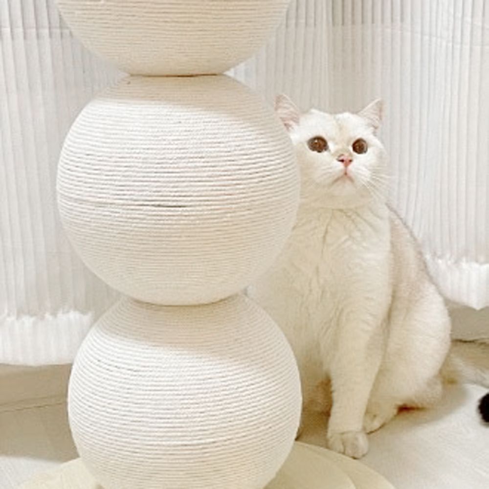 ネコちゃんのネイルケア♪キャットスクラッチャー