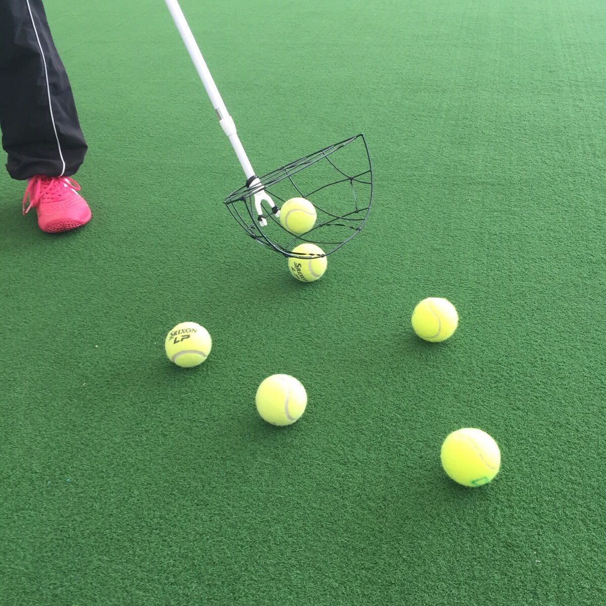 テニスボール拾い機 ウインブルドンバージョン - メルカリ