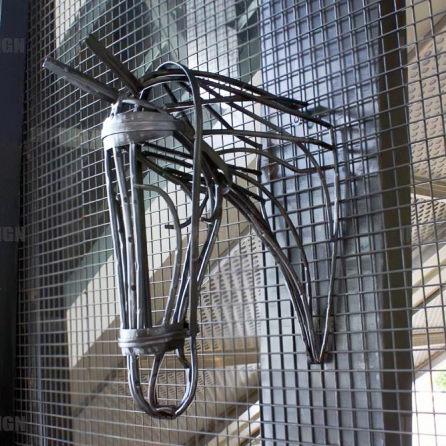 動物 クリエイティブ