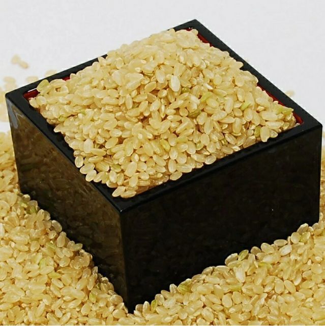 令和６年産　キヌヒカリ　小米とくず米 くず米 砕米 小米 キヌヒカリ 令和6年産 兵庫県産 減農薬 ネオ