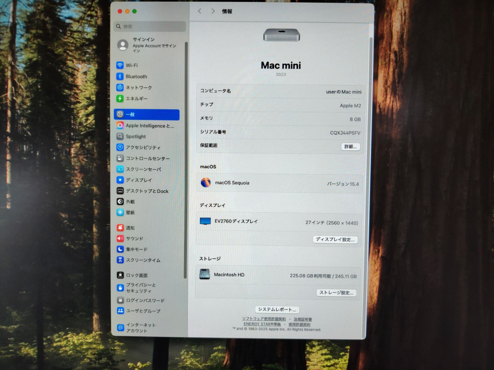 Apple Mac mini M2 小型デスク Apple M2メモリ8GB SSD256GB シルバー
