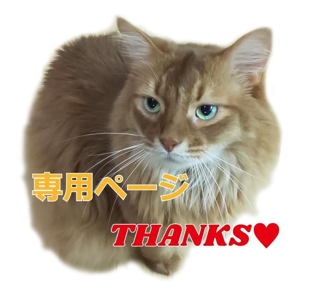 りんご☆コメント無し購入歓迎!!ページ 🐻くまのりんご🍎 on X: 