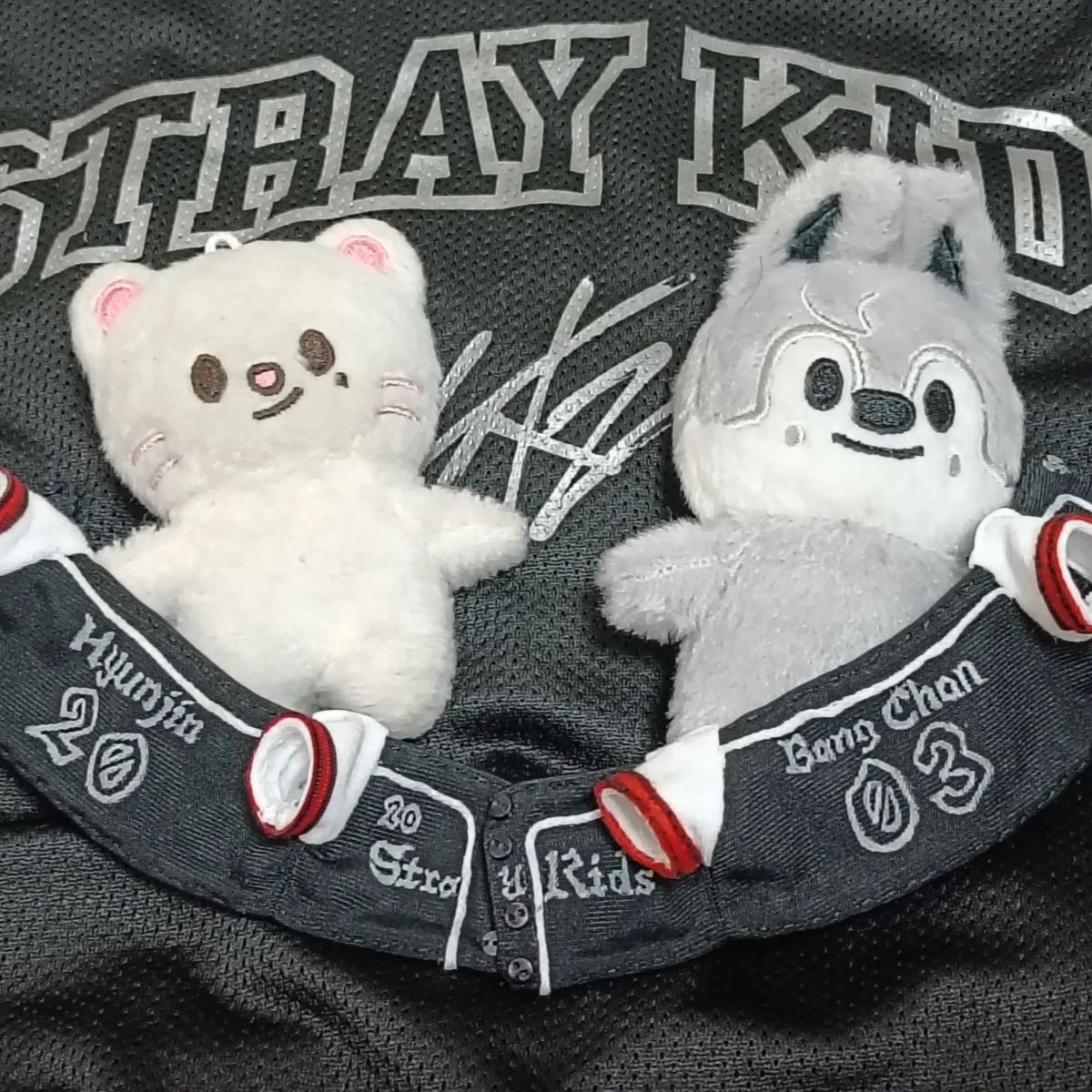 straykids skzoo 10cm ぬいぐるみ服 エコパ ユニフォーム