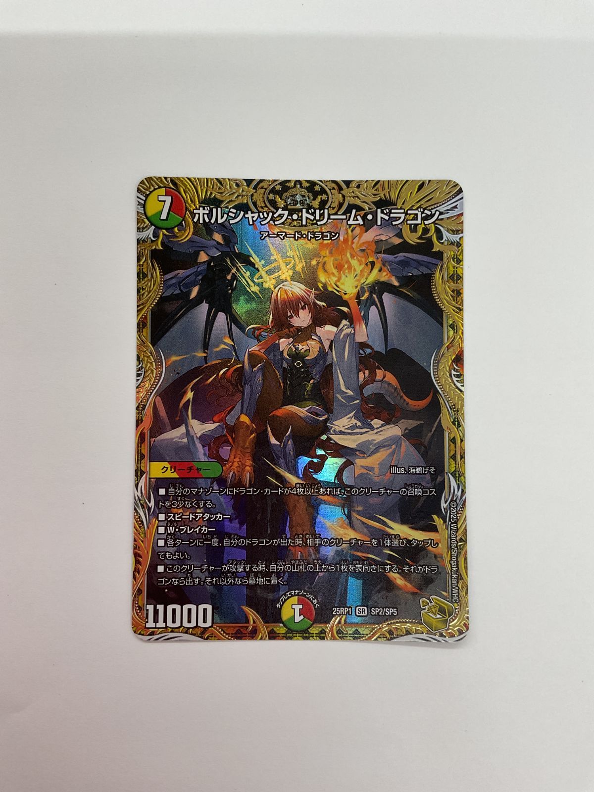 078 PK Y1895 カード ボルシャック ドリーム ドラゴン 25RP1 SR SP2 SP5 目立った傷や汚れなし 10 13