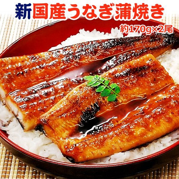 鹿児島産 新 国産 うなぎ蒲焼き 約170g×2尾 送料無料 黒化粧箱・タレ・山椒付き 国産鰻 お取り寄せグルメ