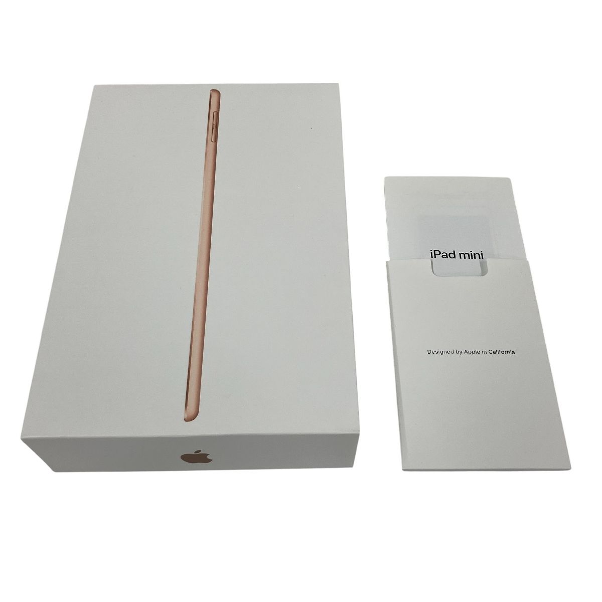 iPad mini