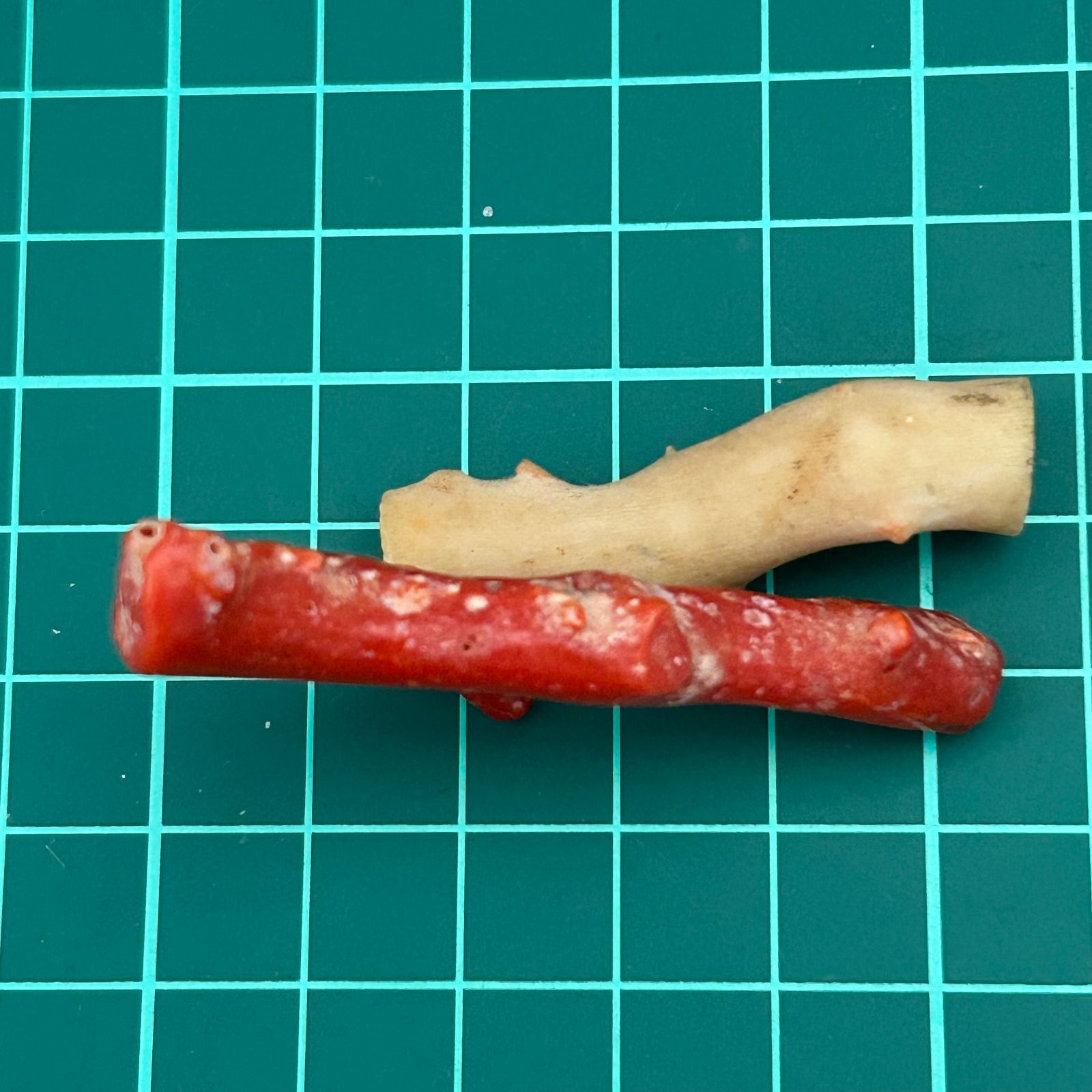 血赤珊瑚 白サンゴ(桃色サンゴ) 原木 2本 まとめセット - メルカリ