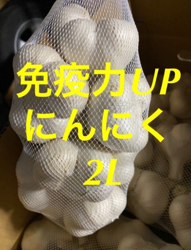 青森県にんにく5キロ 2L タネ 加工