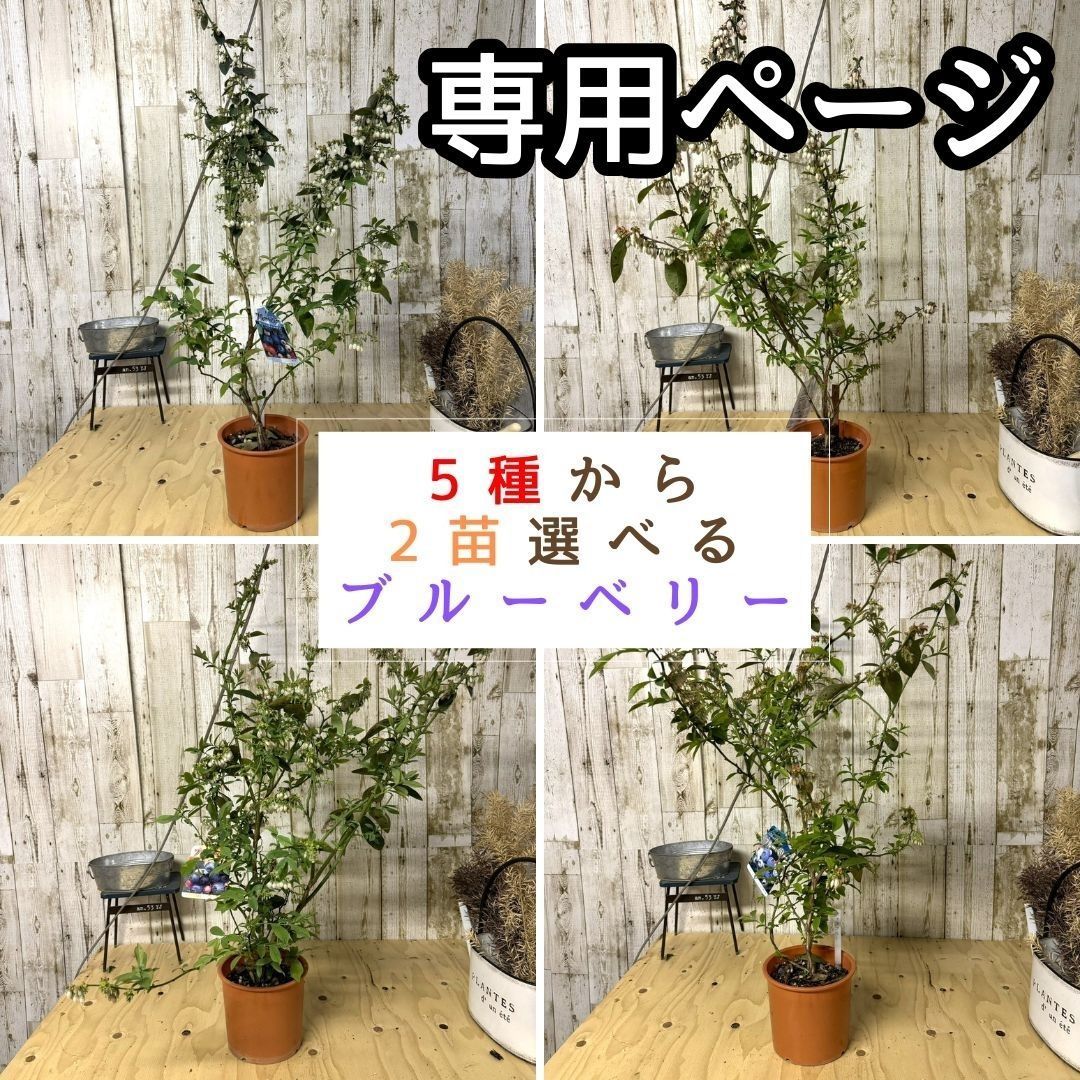 やどかり様専用オーダーページ 細か 